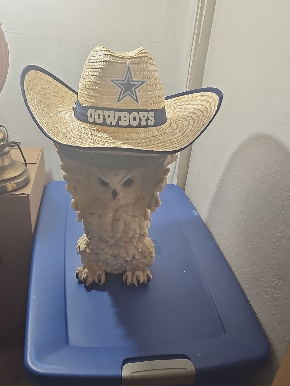 NFL Cowboys Straw Western Hat with Navy Trim